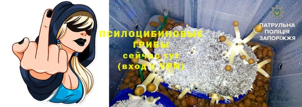 метамфетамин Инта