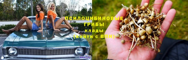 мяу мяу кристалл Инсар
