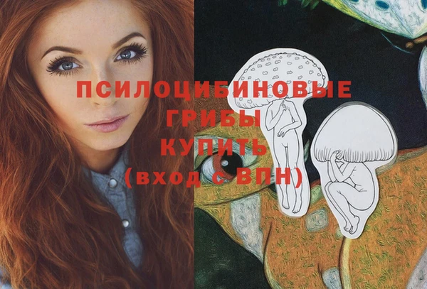 метамфетамин Инта